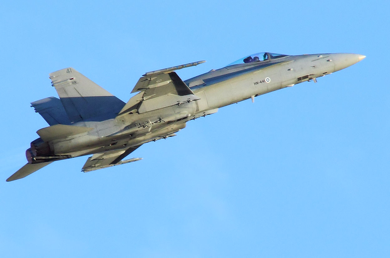 McDonnell Douglas F/A-18 Hornet - Überflug