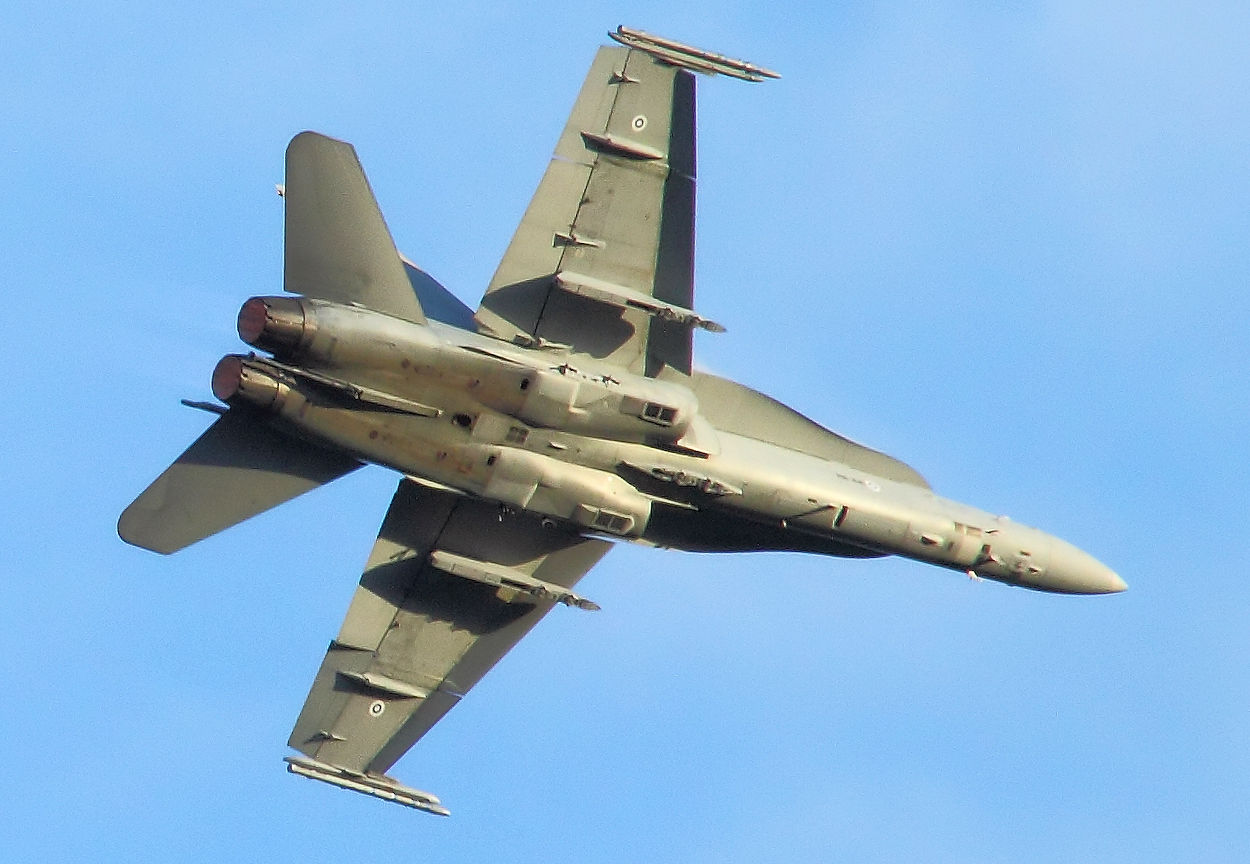 McDonnell Douglas F/A-18 Hornet Flugansicht