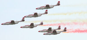 PZL TS-11 Iskra - Flugansicht