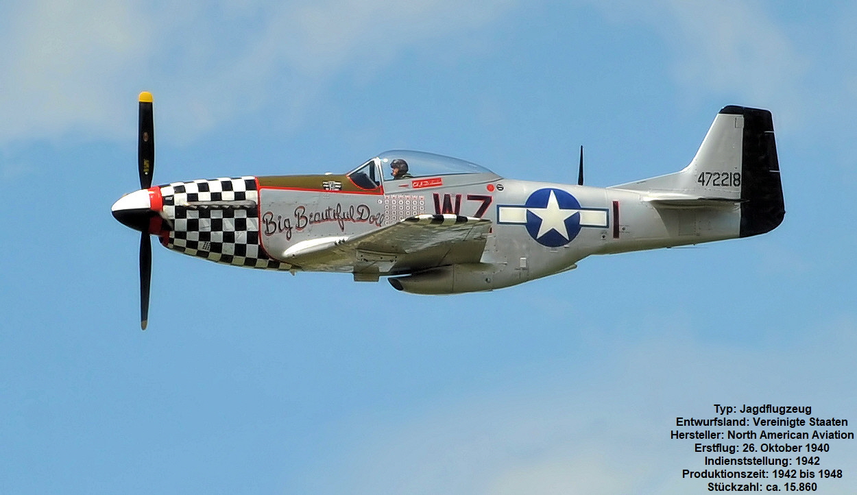 North American P-51 Mustang - Flugansicht